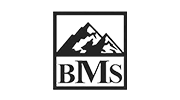 بی ام اس - BMS