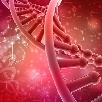 تأثیر تنظیم هورمون‌ها بر زیبایی و سلامتی بدن