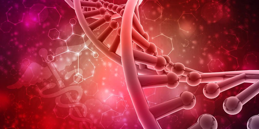 تأثیر تنظیم هورمونها بر زیبایی و سلامتی بدن