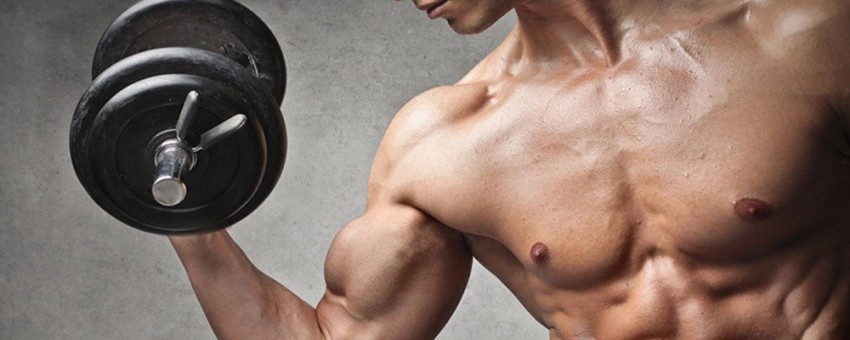 پروتئین کازئین و پروتئین وی چه تفاوتی دارند؟