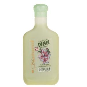 شامپو ایوان سبز مخصوص موهای چرب 250 میلی لیتر