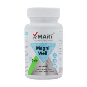 قرص مگنی ول ایکس مارت 60 عددی