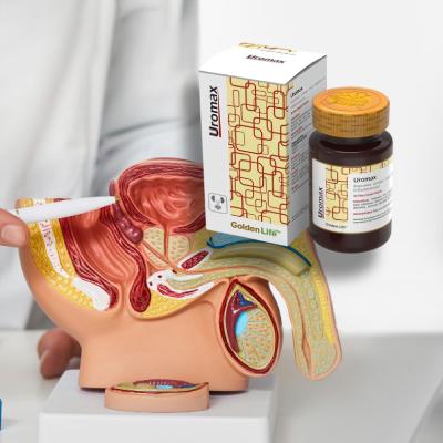 فواید قرص پروستیکا برای مردان بالا 40 سال